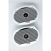 Cerwin Vega Stroker 6X9. NB Sorte griller