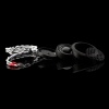 GLADEN RS-100 G2 - German Technology - Bilde 2